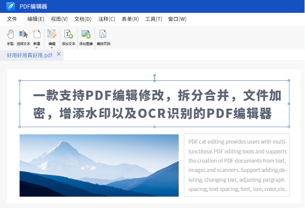 PDF编辑器