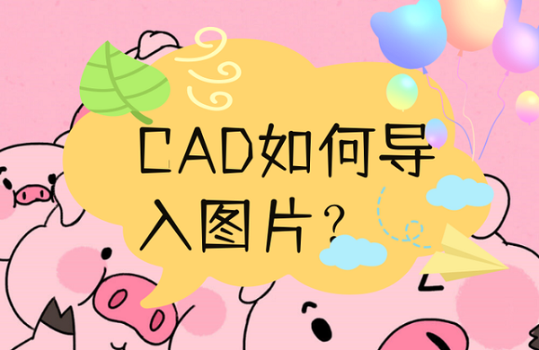 cad如何插入图片？网友：确实是简单易懂！