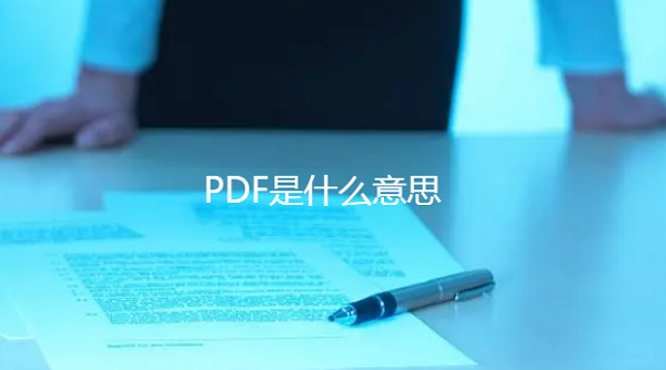 PDF是什么意思是网络热词？网友：这下就懂了！