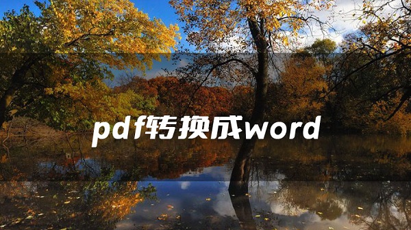 pdf转换成word有没有什么软件支持？网友：确实很方便！