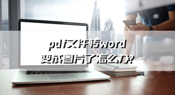 pdf文件转word变成图片了的解决方法