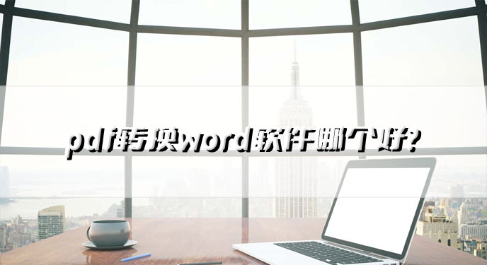 pdf转换word软件哪个好？网友：这下文档处理效率快多了！