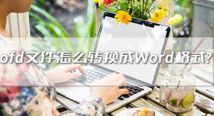 ofd文件怎么转换成Word格式？网友：处理完还能直接编辑！